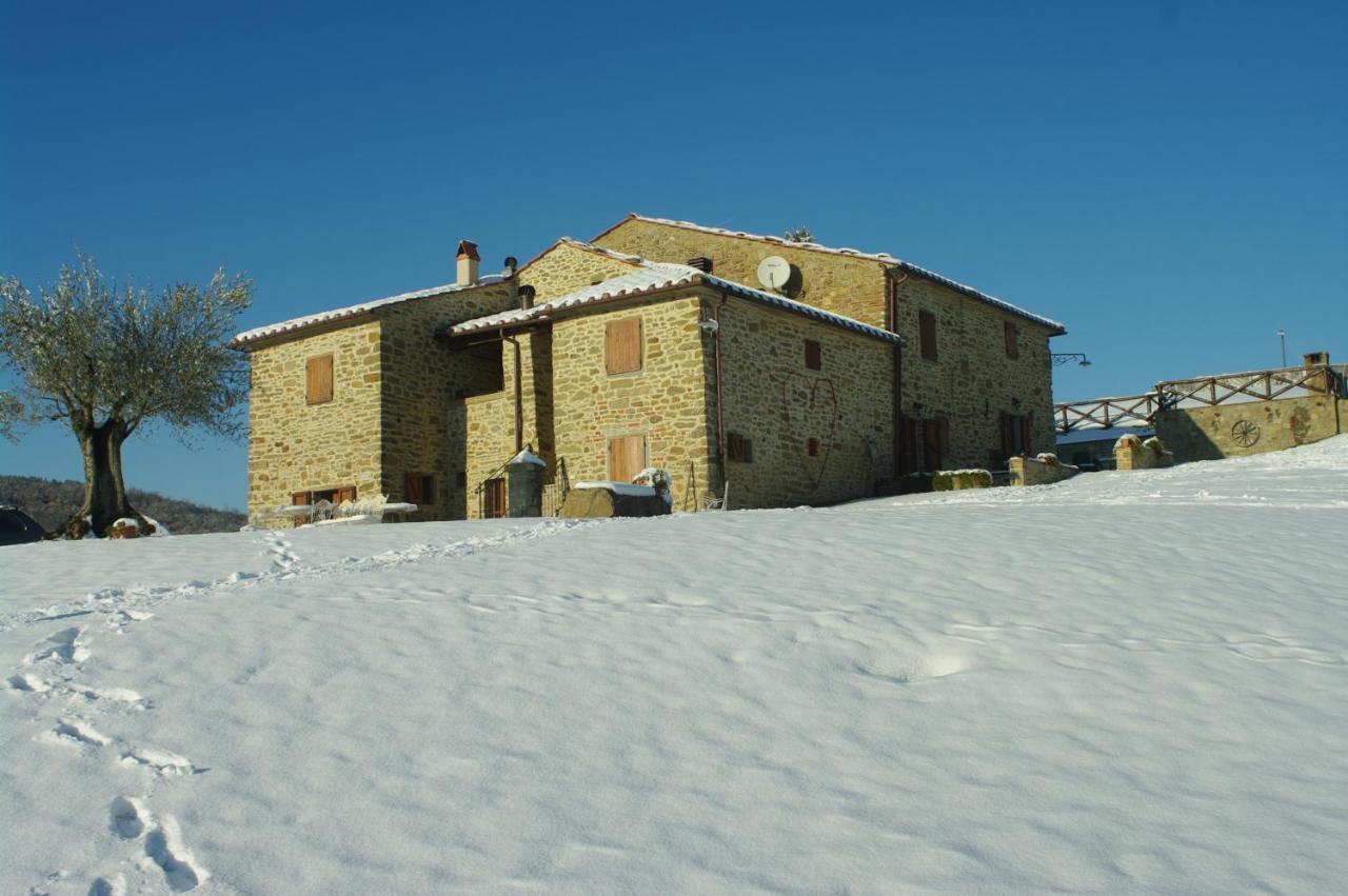 Agriturismo D'Ambiano Arezzo Luaran gambar